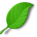 Eco-Friendly Hoem Improvements - Lehigh Valley Home Innovations