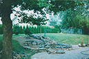 landscape6
